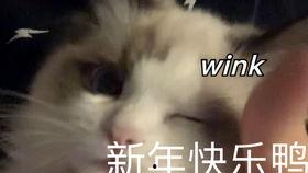 猫之城最新爆料视频大全,最新爆料视频大盘点  第1张